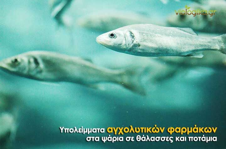 Υπολείμματα αγχολυτικών φαρμάκων στα ψάρια
