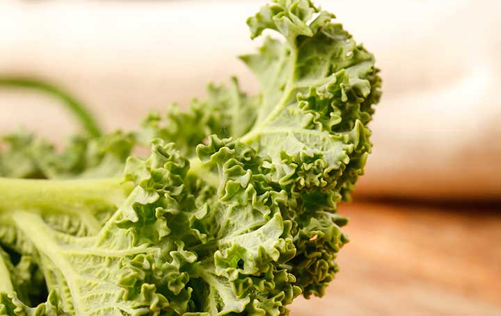 Βιολογικό Λάχανο Μιλάνου (Kale)