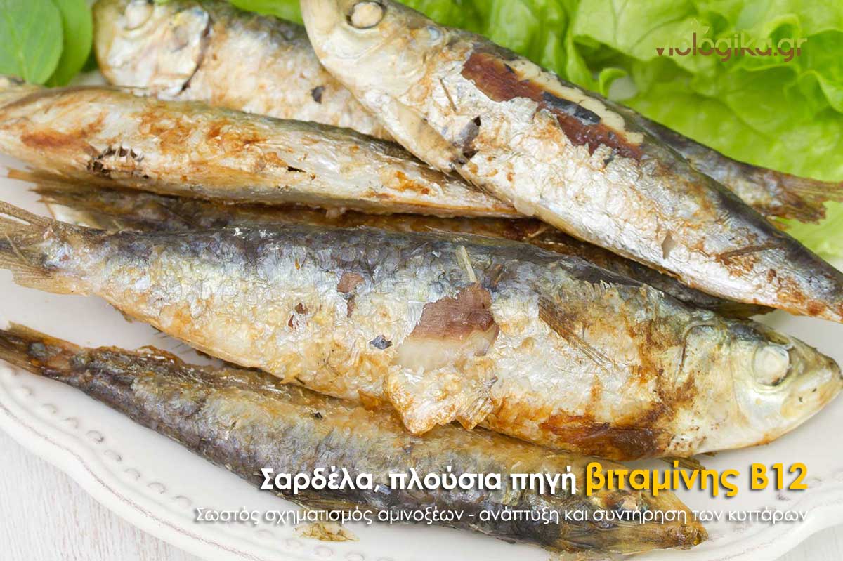 Βιταμίνη Β12