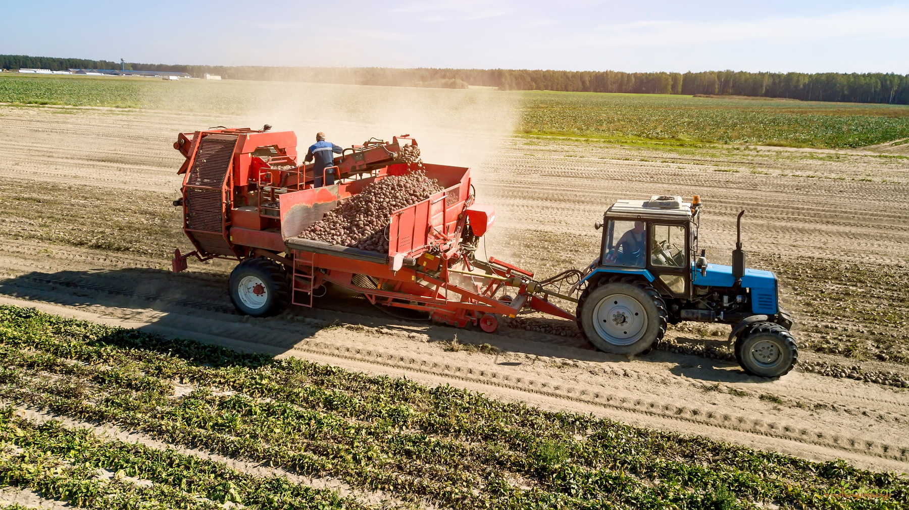 Η Μαζική Εκβιομηχάνιση Της Καλλιέργειας Και Η Στροφή Προς Την Βιολογική Γεωργία