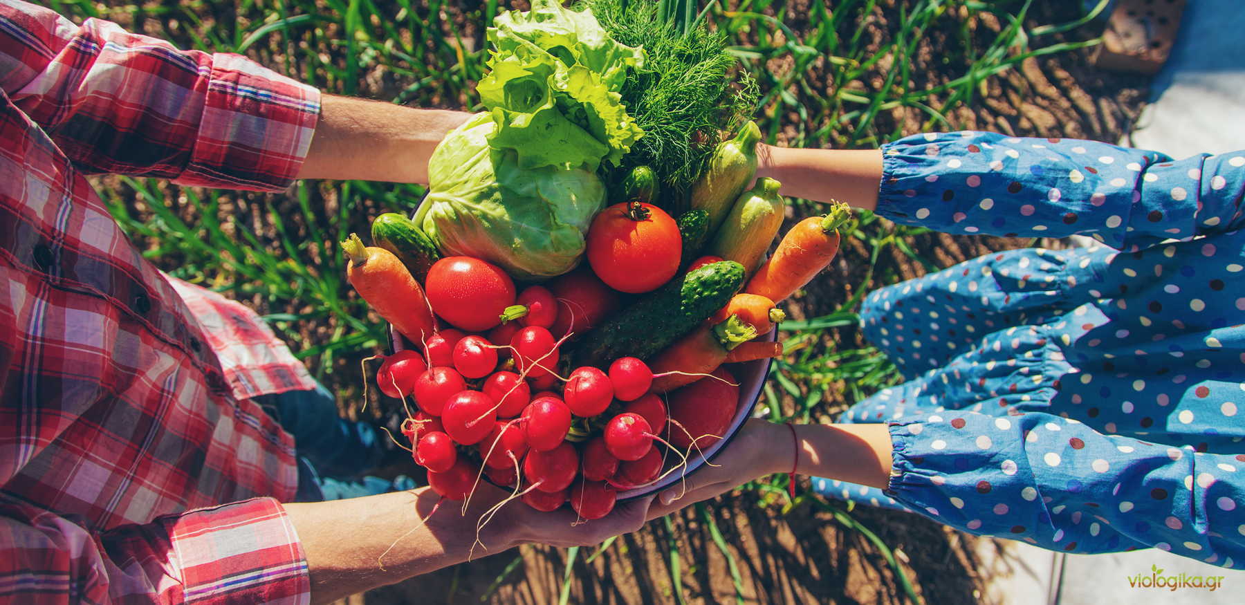 Οι «Πράσινες Επαναστάσεις» Και Οι Νέες Προκλήσεις