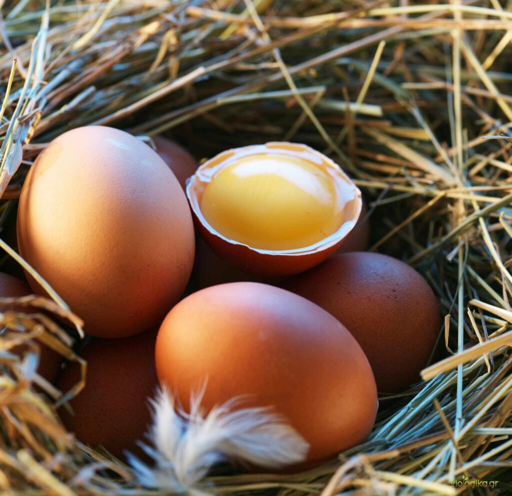 Βιολογικά αυγά κότας