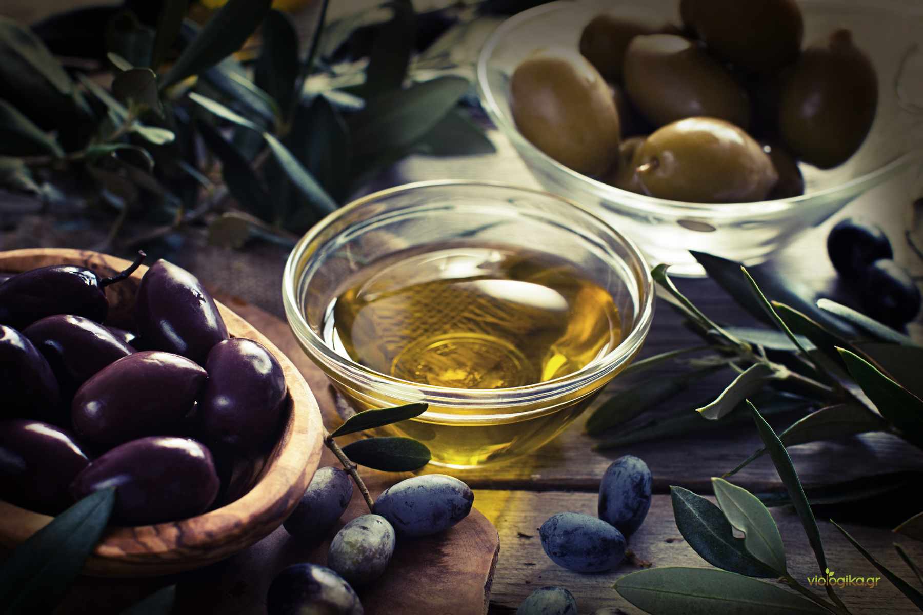 Вещество оливковое масло. Оливковое масло. Масло оливы. Оливки и оливковое масло. Оливковое масло и маслины.