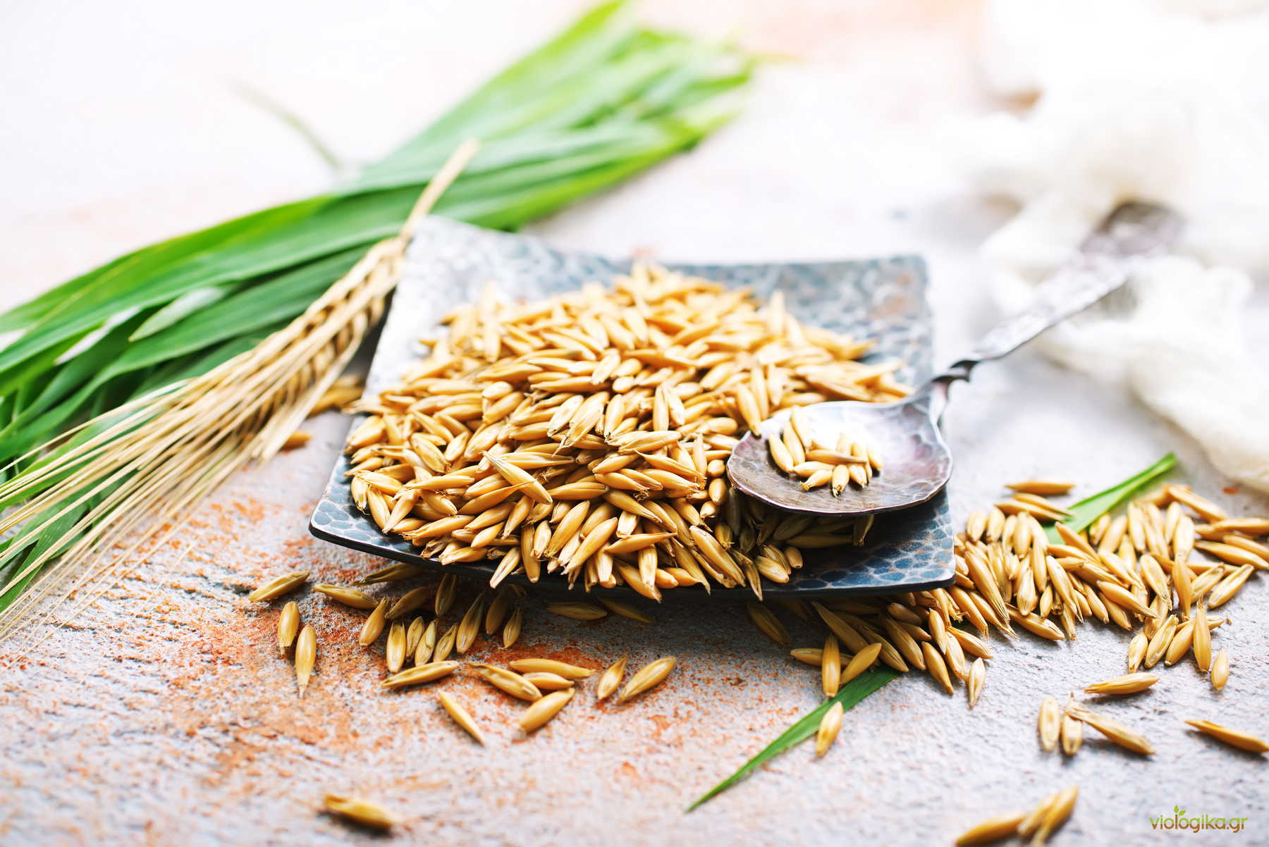 Διατροφική Αξία Και Οφέλη Της Βιολογικής Βρώμης